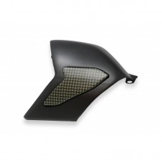 CNC Racing Carbon Fiber / Kevlar Swingarm Cover for Ducati Panigale V4 / S / R / Speciale CNC Racing Carbon Fiber / Kevlar Swingarm Cover for Ducati Panigale V4 / S / R / Speciale